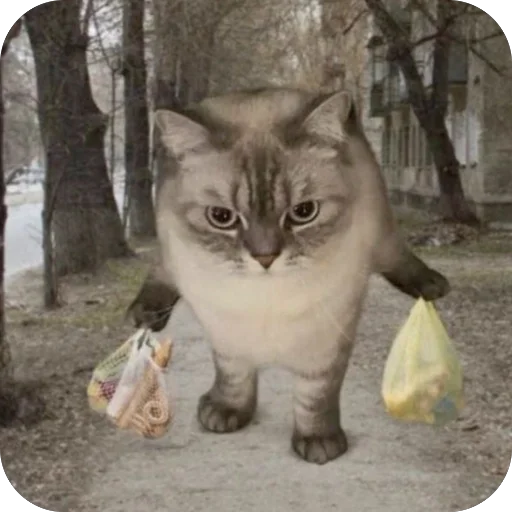 Sticker Memes2100 - 1