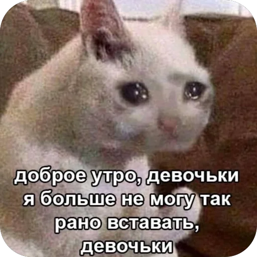 Стикер Memes2100 - 1