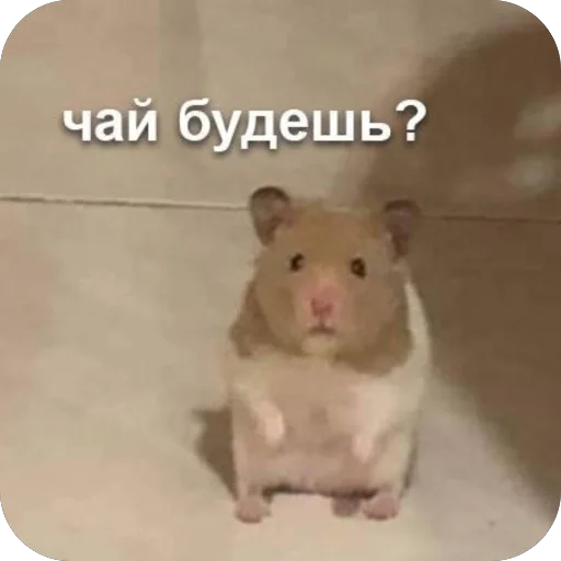 Стикер Memes2100 - 1