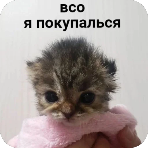 Sticker Memes2100 - 1