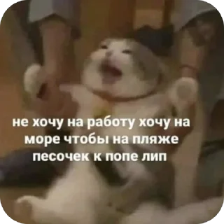 Стикер Memes (@korevinaa) - 9