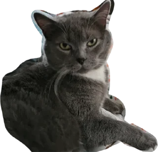 Стикер Стикерпак - 6