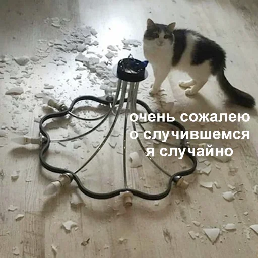 Стикер Memes6_296 - 1