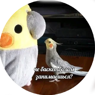 Стикер Мемные - @Tg_stickersu - 6