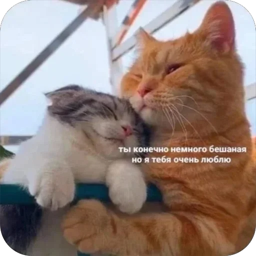 Стикер Memes7023 - 1