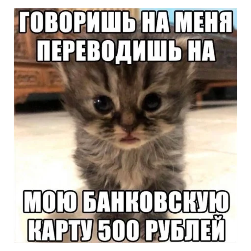 Sticker Memes7023 - 1