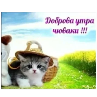 Стикер Memes by Verner - 1