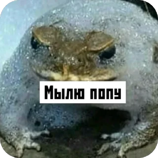 Стикер Memes by Verner - 2