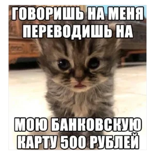 Стикер Memes by Verner - 0