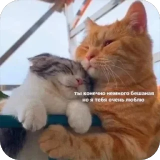 Стикер Memes by Verner - 5