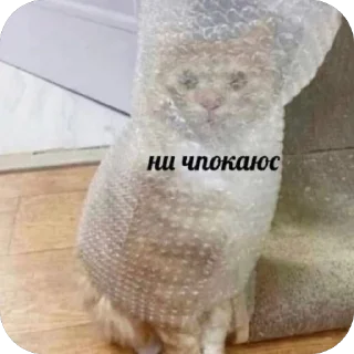 Стикер Memes by Verner - 10