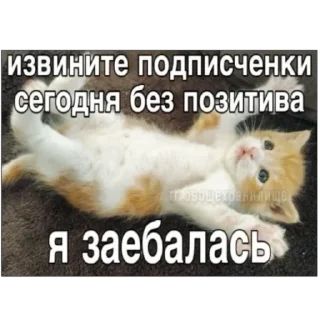 Стикер Memes by Verner - 9