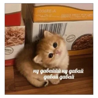 Стикер Memes by Verner - 7