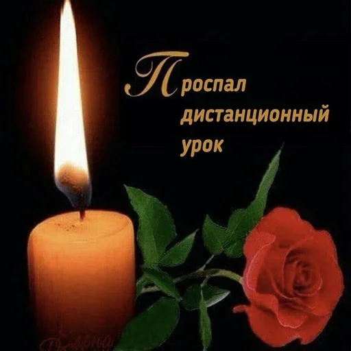 свеча воск роза