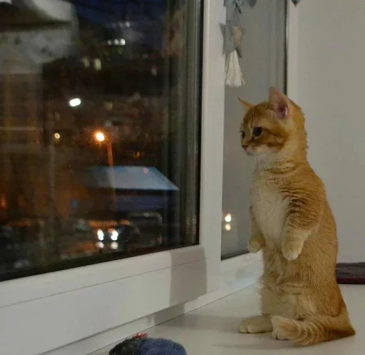 Sticker 🦊A.K.P & NaNoCoRe🦒 - 8