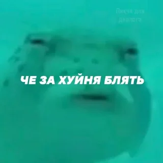 Стикер МЭМС - 11