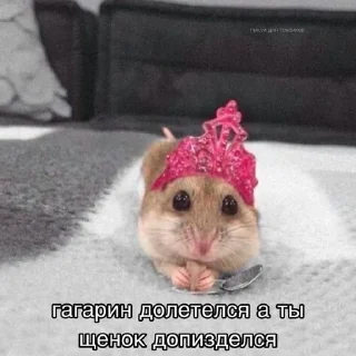 Стикер МЭМС - 8