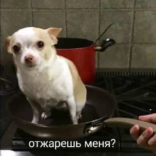 Стикер МЭМС - 5