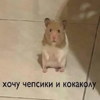 Стикер МЭМС - 6