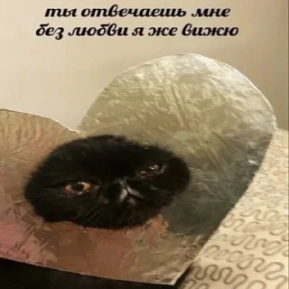 Стикер МЭМС - 3