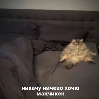 Стикер МЭМС - 9