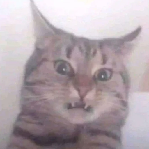 Стикер AmirrezaA - 11