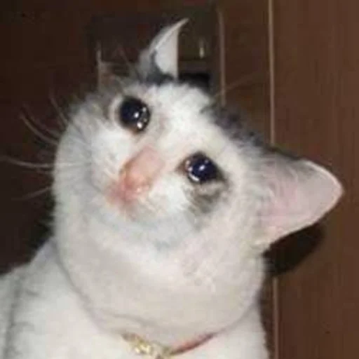 Стикер AmirrezaA - 10