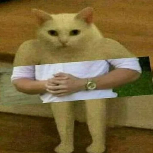 Стикер AmirrezaA - 9