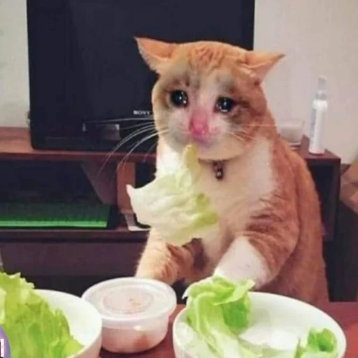 Стикер AmirrezaA - 8