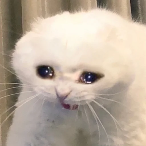 Стикер AmirrezaA - 5