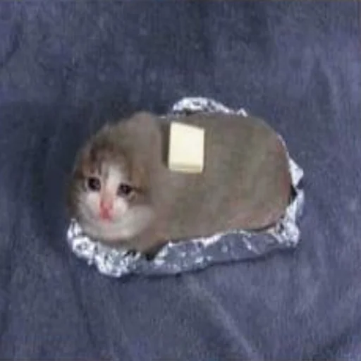 Стикер AmirrezaA - 3