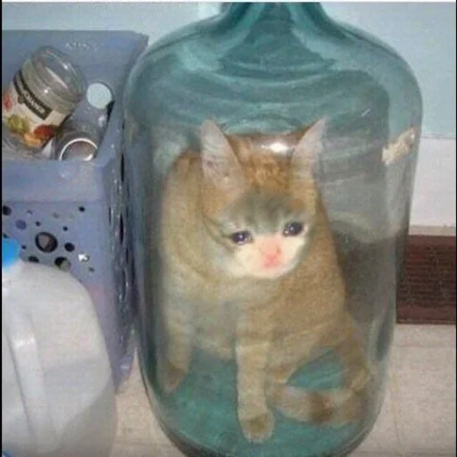 Стикер AmirrezaA - 2