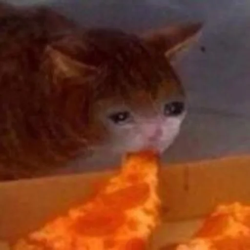 Стикер AmirrezaA - 0