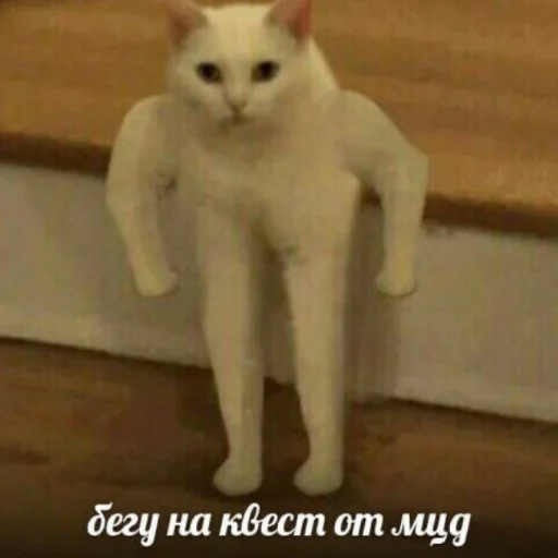 Sticker MemesByGnom2 - 9