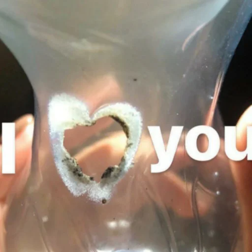 Sticker MemesByGnom2 - 5