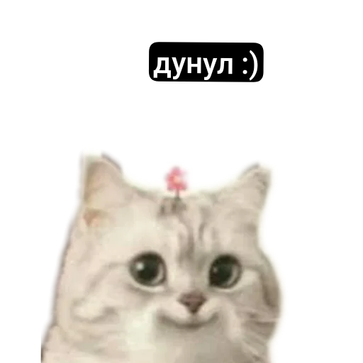 Стикер MemesCult2 - 1