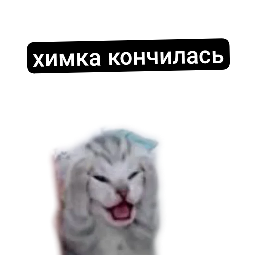 Стикер MemesCult2 - 1