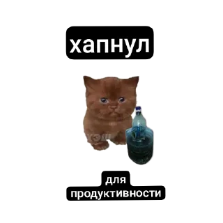 Sticker MemesCult - 8