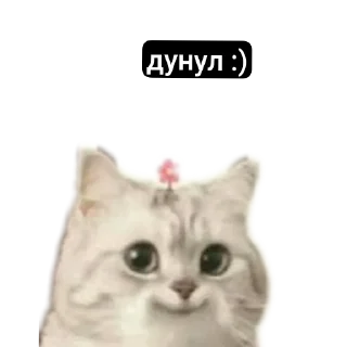 Sticker MemesCult - 10