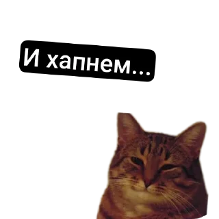 Sticker MemesCult - 9