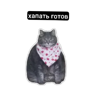 Sticker MemesCult - 11