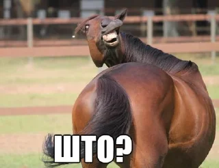 Sticker Мешанина - 6