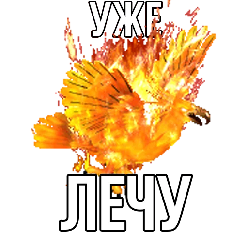 СМС плакат скриншот