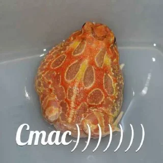 Sticker для подписчиков - @memimperia - 7