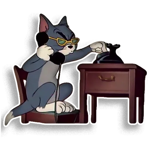 cat furniture mammal