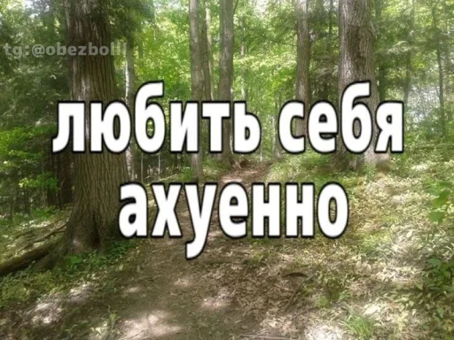 Sticker Memes_ad76f_by_MoiStikiBot - 1