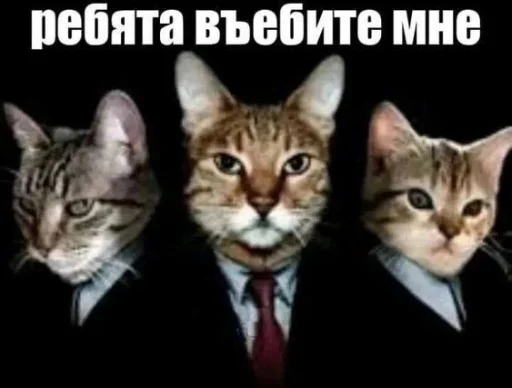 Sticker Memes_ad76f_by_MoiStikiBot - 1