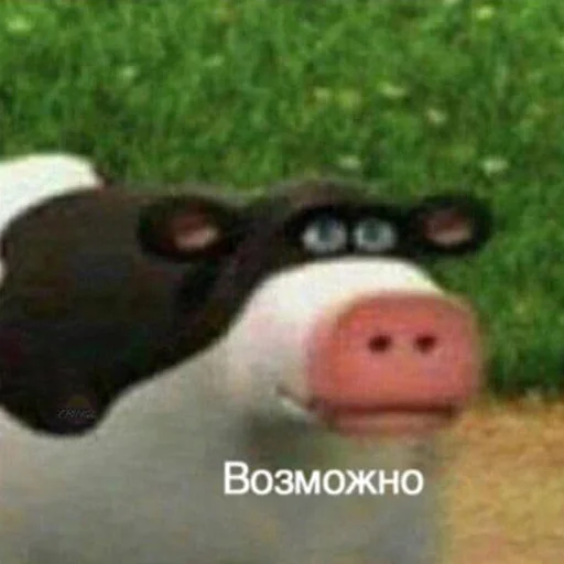 трава млекопитающее рыло