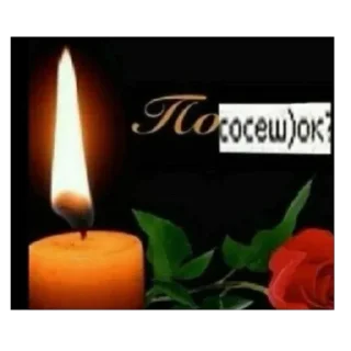 Sticker Memes tg @neraketa - 2