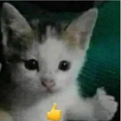 Sticker мемес - 0